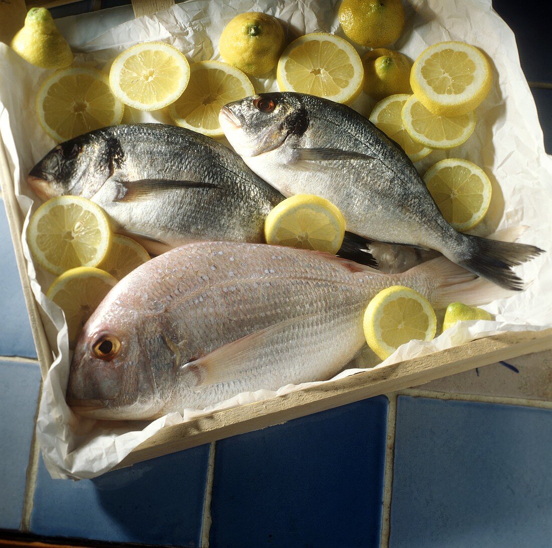Bream on Paper in a Box with Lemon Slices