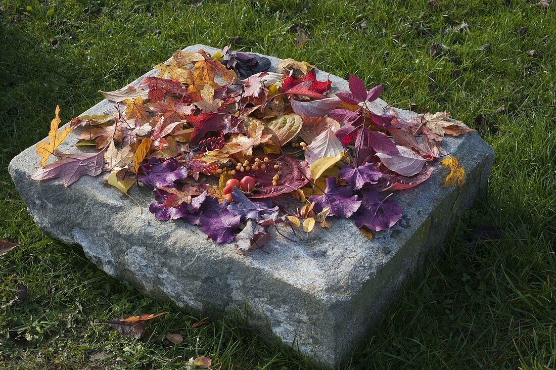 Still life with autumn leaves and berries