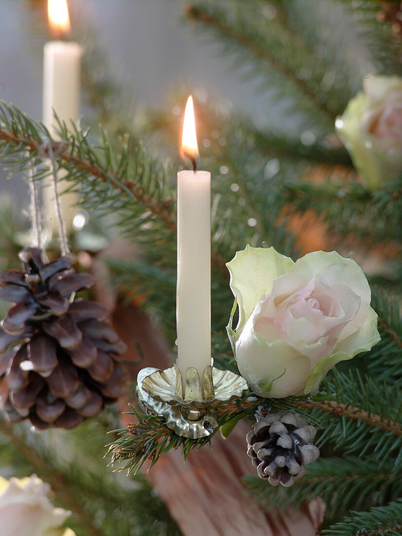 Blue spruce decorated with rose petals and cones as Christmas tree