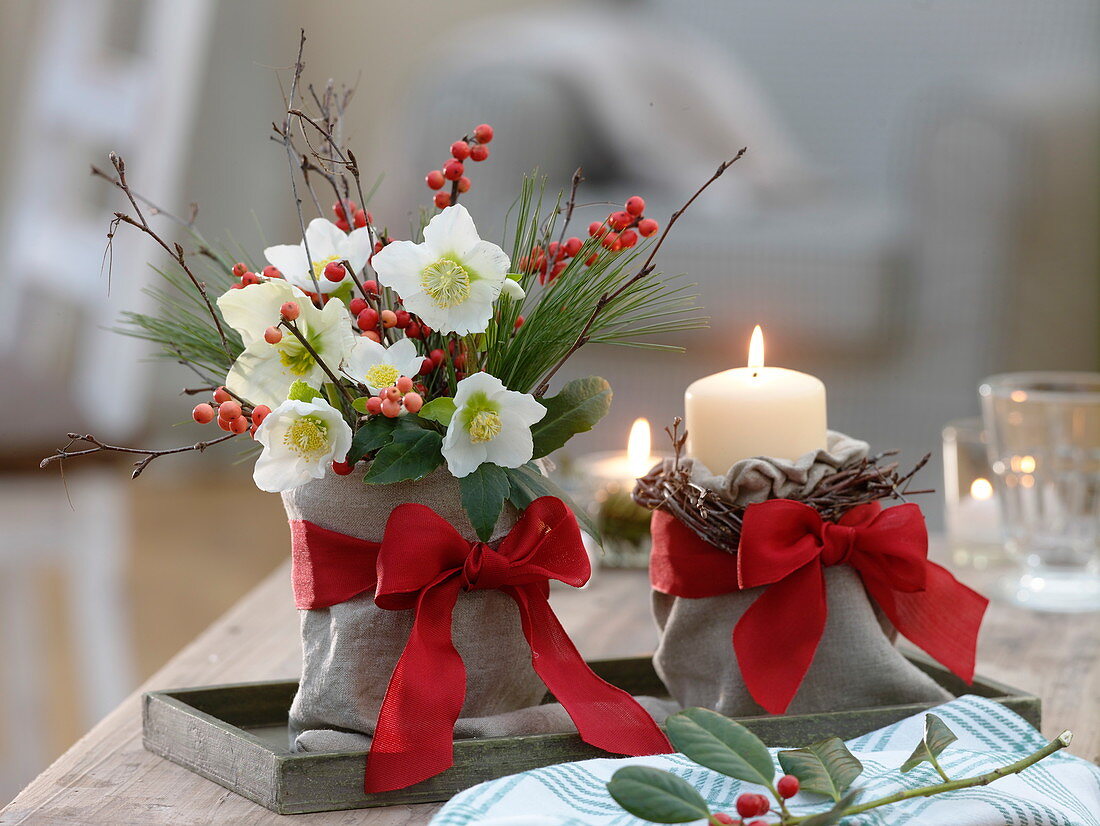 Small bouquet of Helleborus niger, Ilex, Pinus