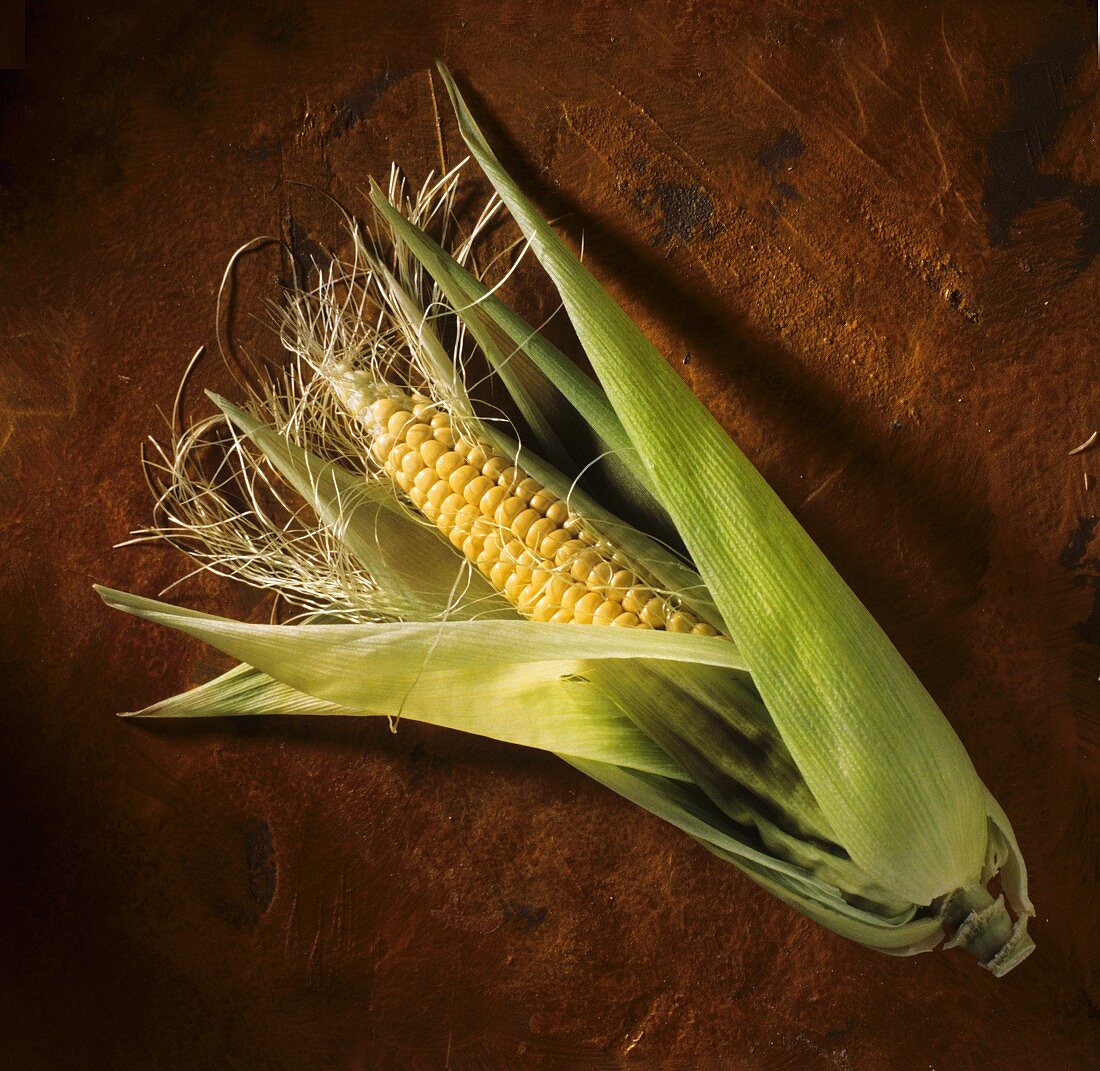 Fresh Corn on the Cob in the Husk