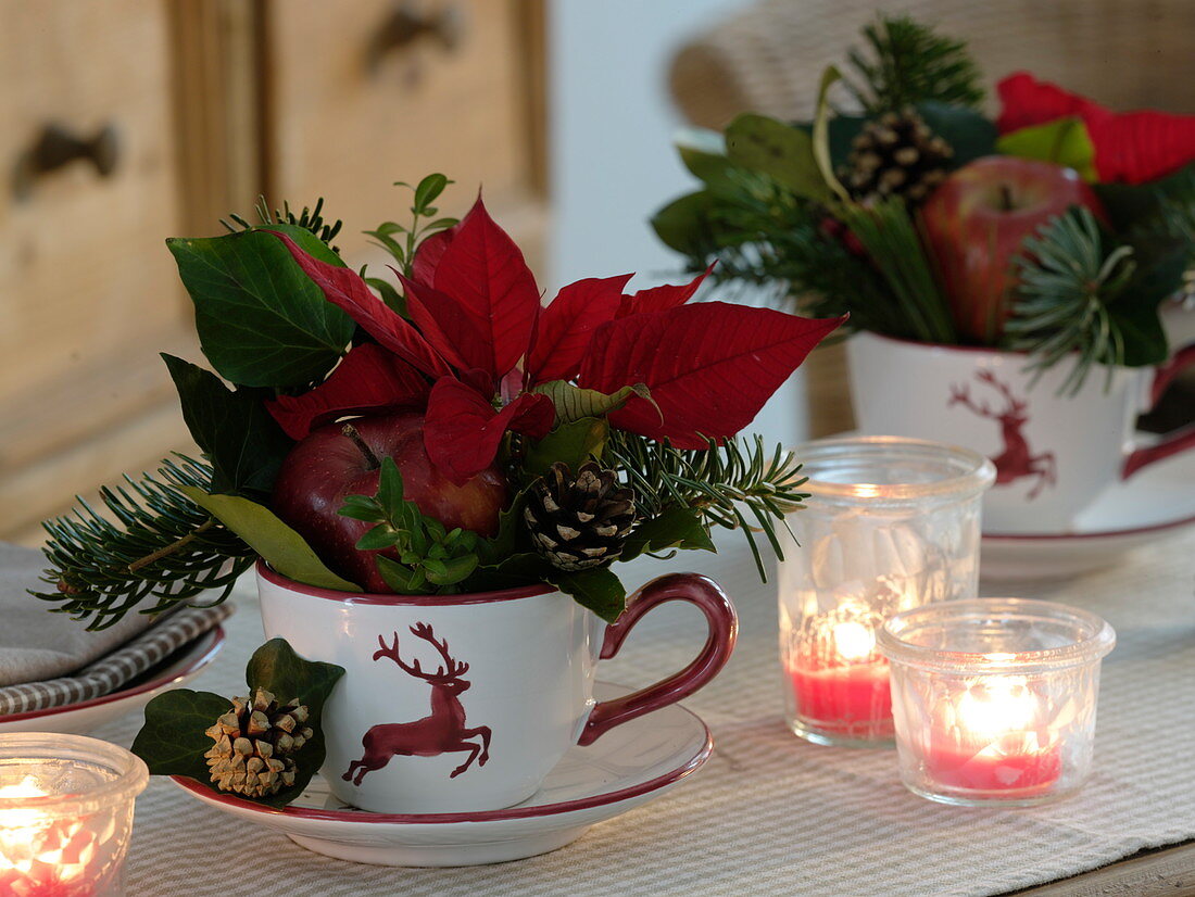Vorweihnachtliche Tischdeko mit Euphorbia pulcherrima (Weihnachtsstern)