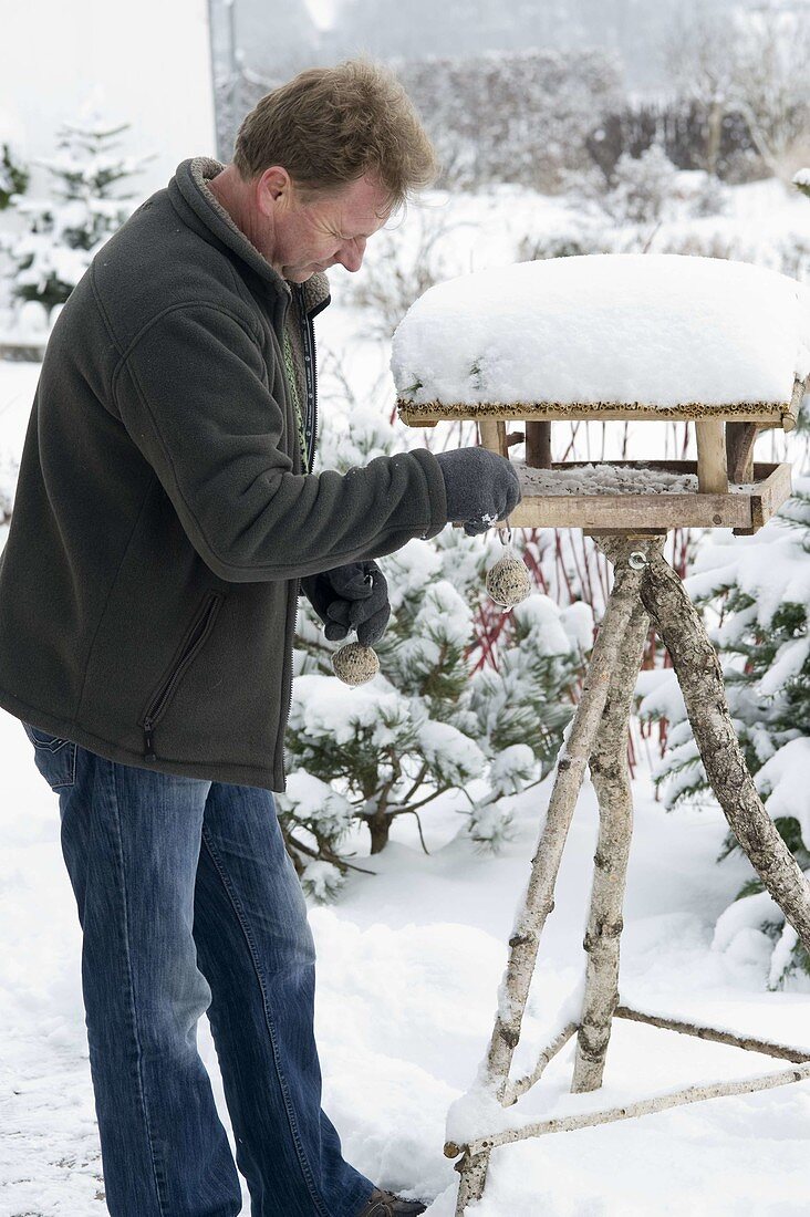 Man hangs tit dumplings on bird feeder