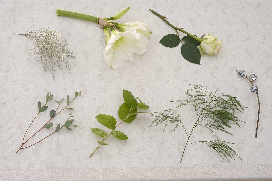 Ingredients for white bouquet with Hippeastrum, Rose