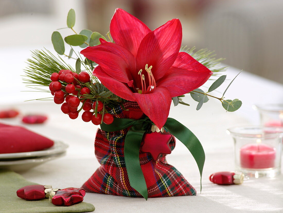 Small Christmas bouquet in a bag in a Scottish look