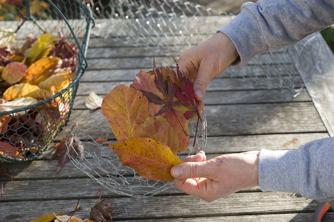 Homemade leaf bowl with hare wire