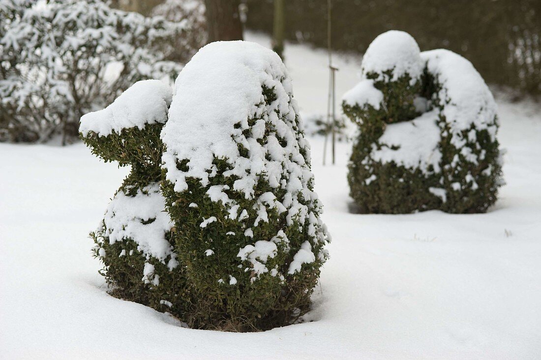 Shaped animal figures in a snowy garden