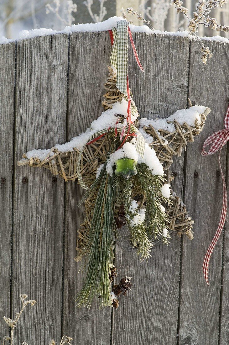 Star of branches decorated with Pinus, Cryptomeria