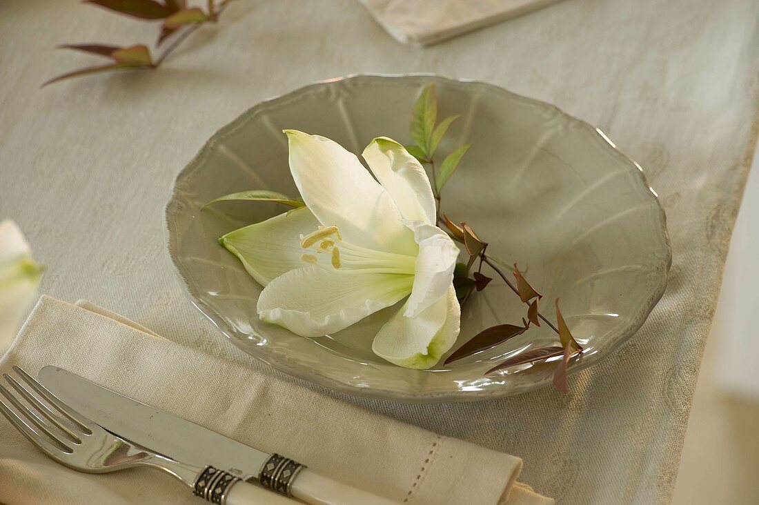 Autumnal amaryllis table decoration