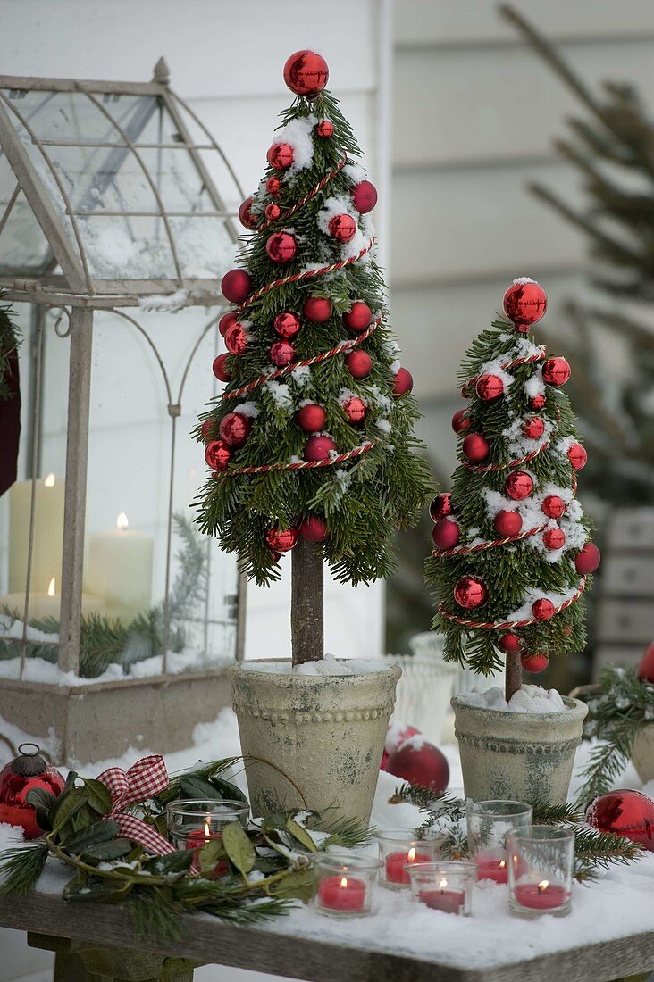 Hand-tied trees from Nordmann fir