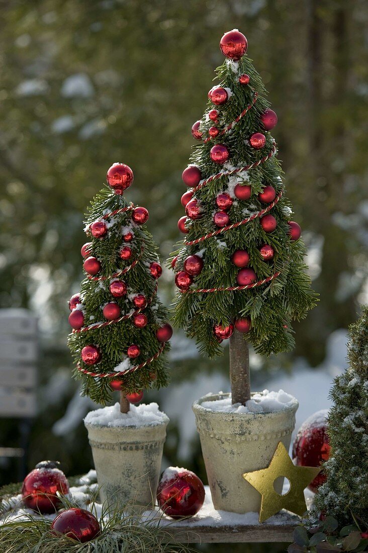 Hand-tied trees from Nordmann fir