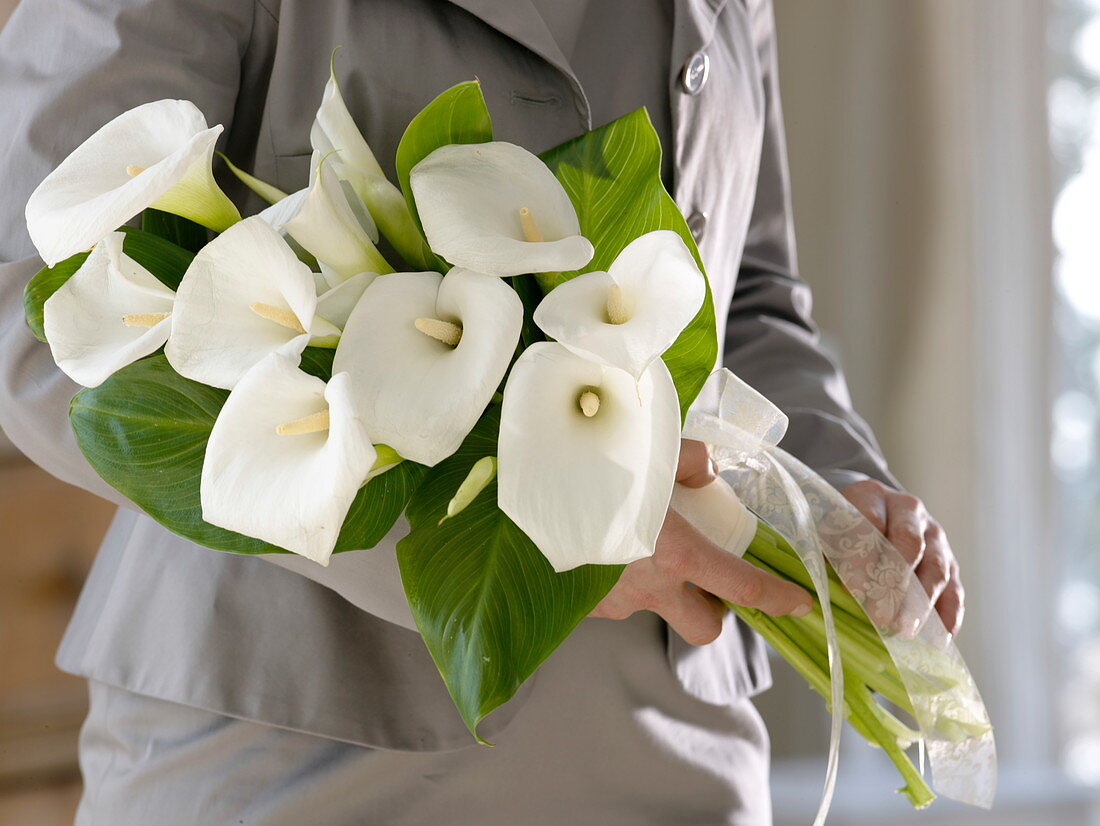 White wedding bouquet of Zantedeschia (Calla)