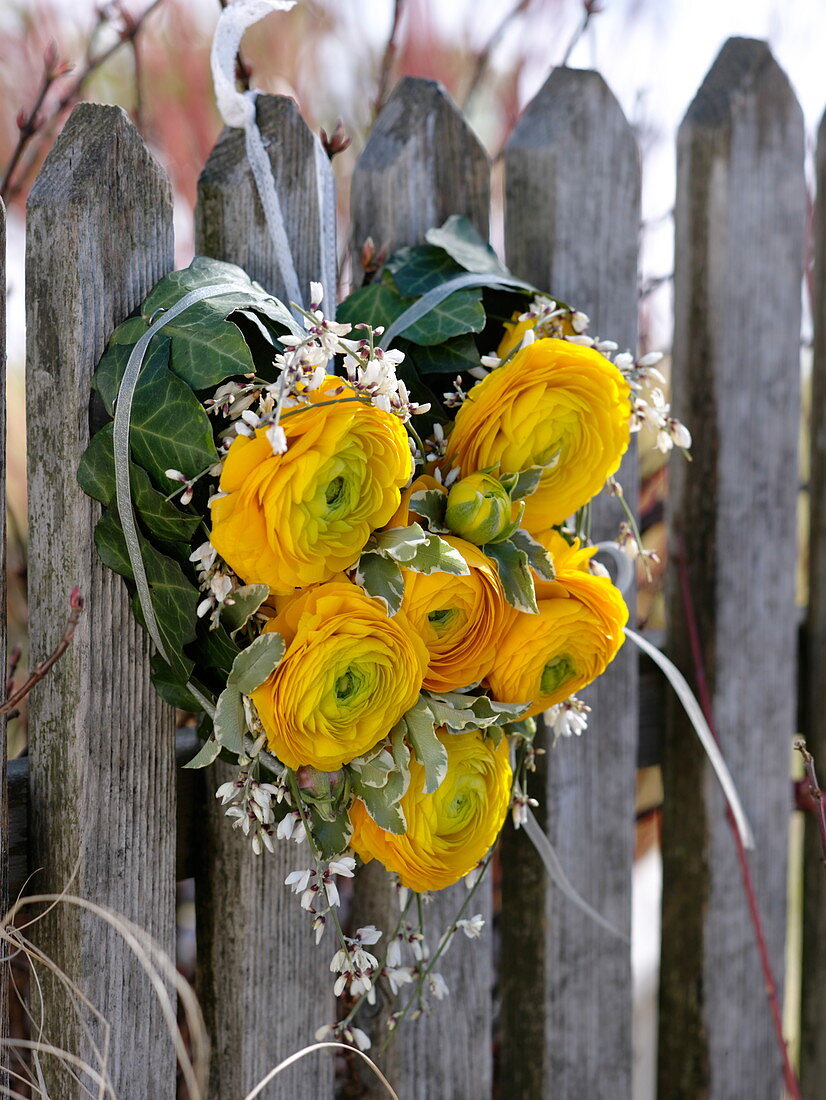 Pinned heart of Ranunculus, Cytisus, Hedera