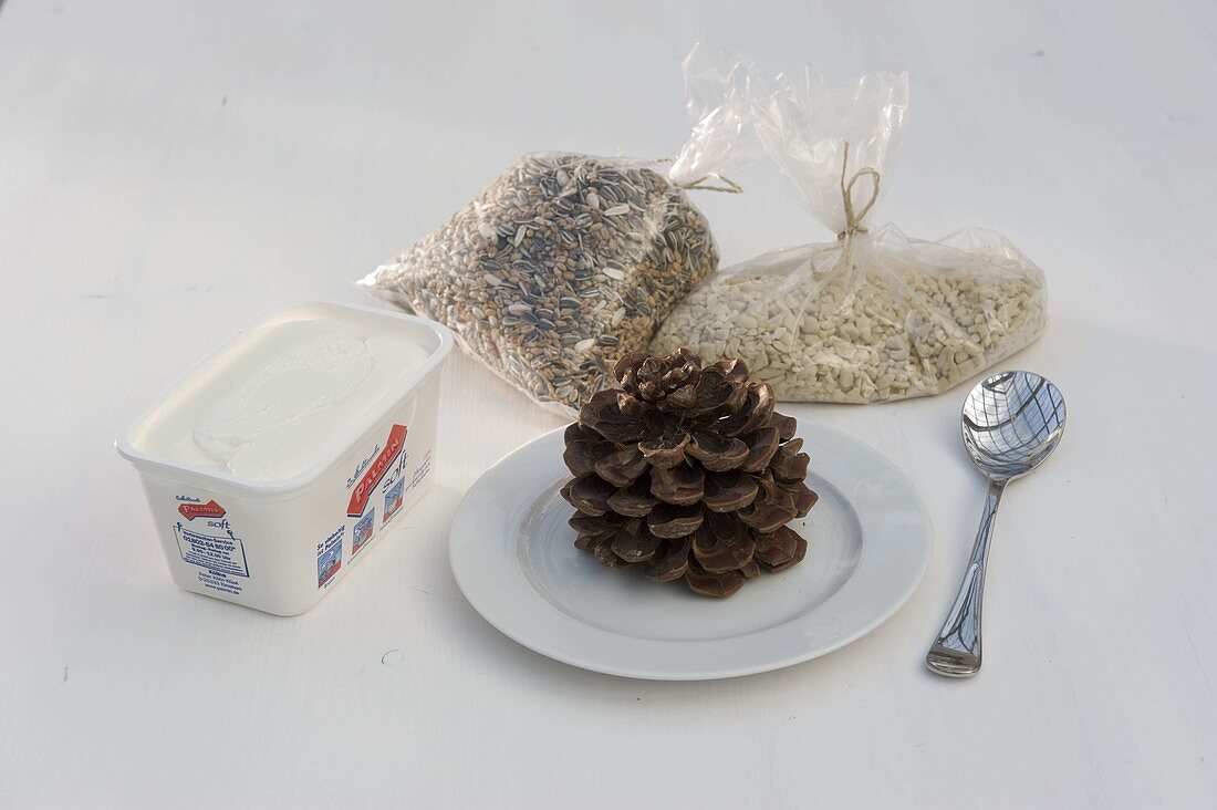 Pine cones filled with birdseed