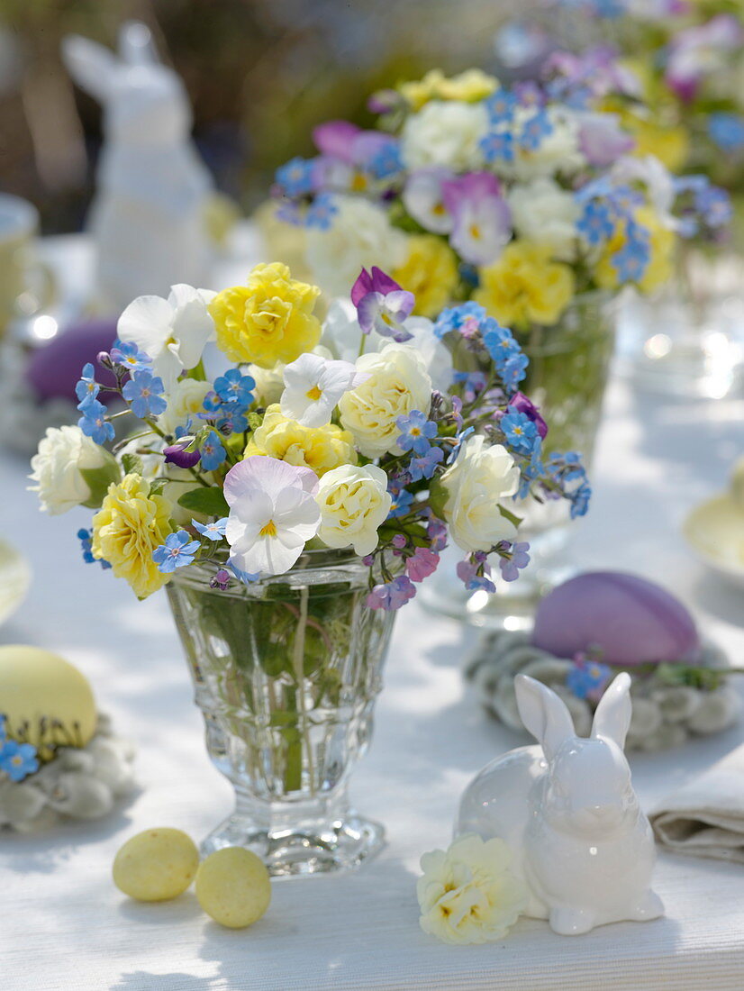 Small spring bouquets of viola cornuta, myosotis