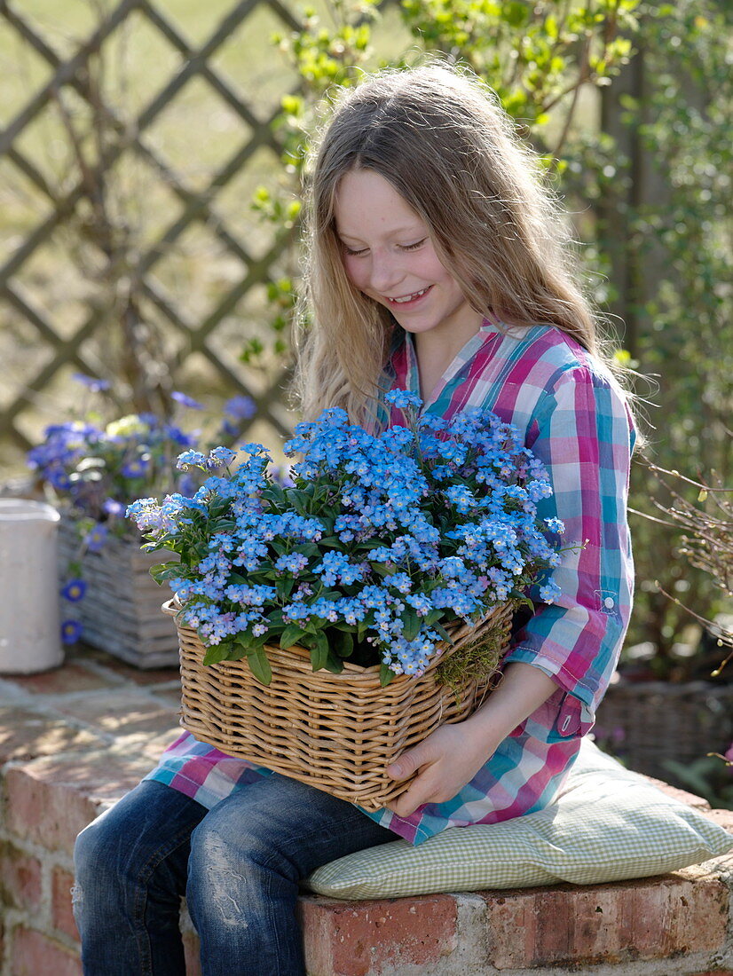 Mädchen hält Korb mit Myosotis 'Myomark' (Vergißmeinnicht)