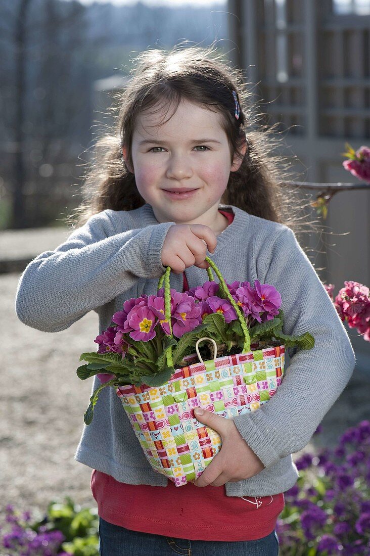 Mädchen mit Primula acaulis (Primeln) in Flechttasche