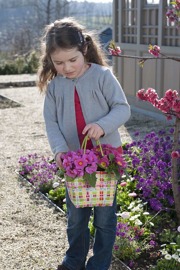 Girl with Primula acaulis (primroses) in braided bag