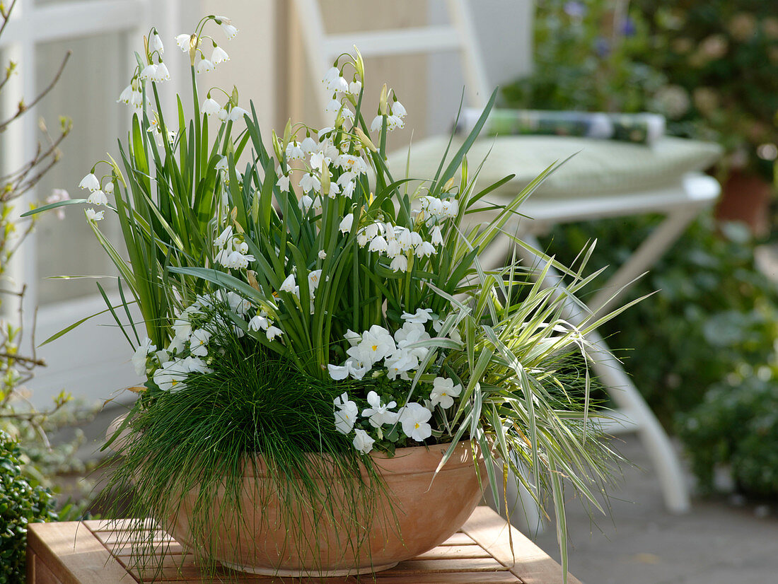 Green and white spring bowl