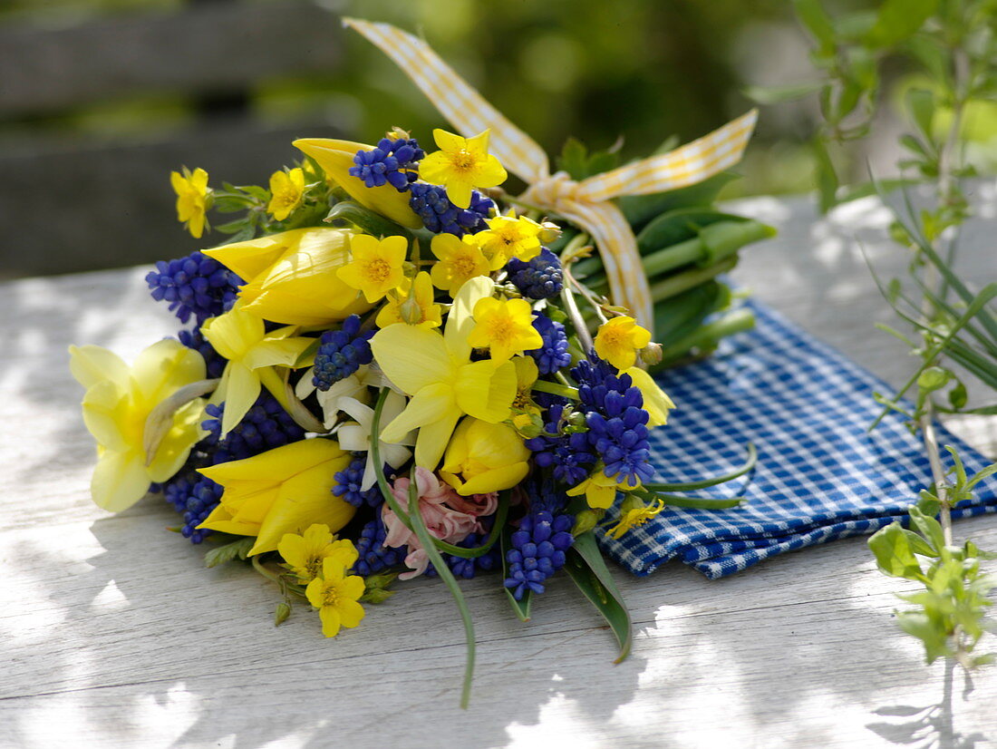 Blau-gelber Frühlingsstrauß: Muscari (Traubenhyazinthen), Tulipa (Tulpen)