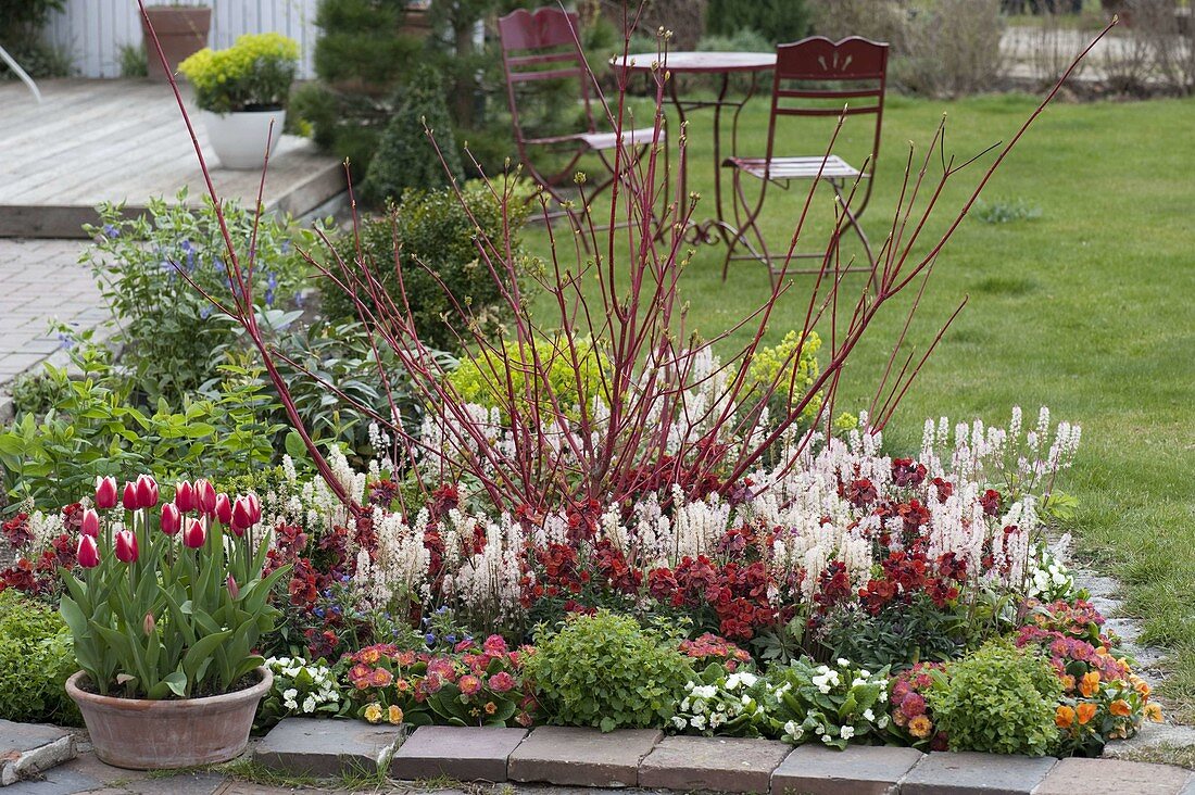 Red and white spring bed