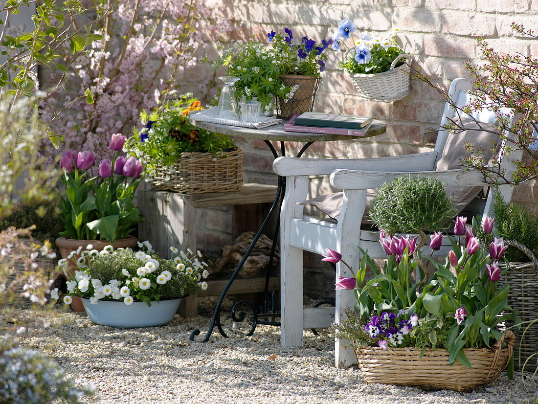 Spring terrace: Tulipa 'Ballade' 'Valentine' (Tulips), Viola (Pansies)