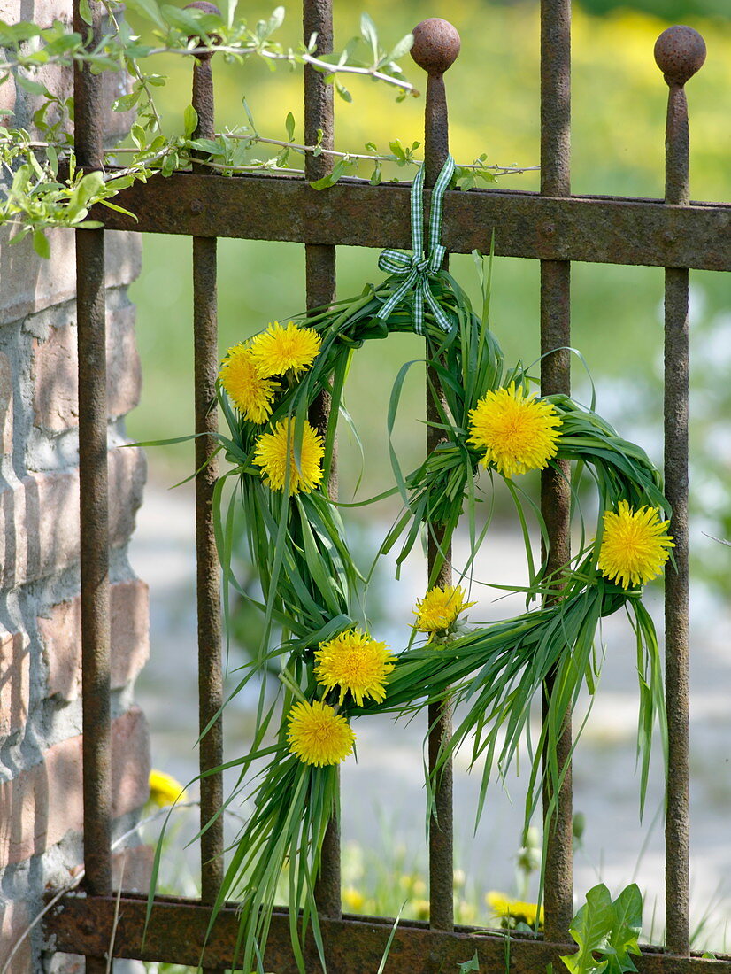 Kleines Herz aus Gras mit Löwenzahnblüten an rostigen Zaun gehängt