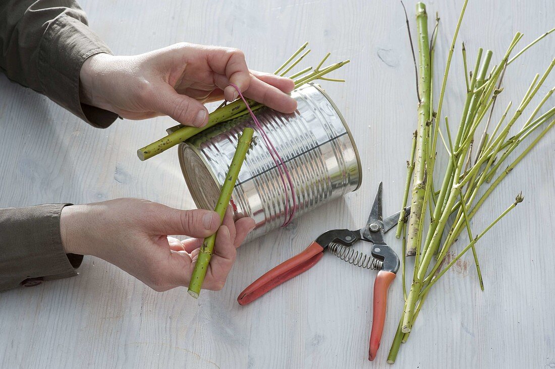 Covering a tin with dogwood branches (2/3)