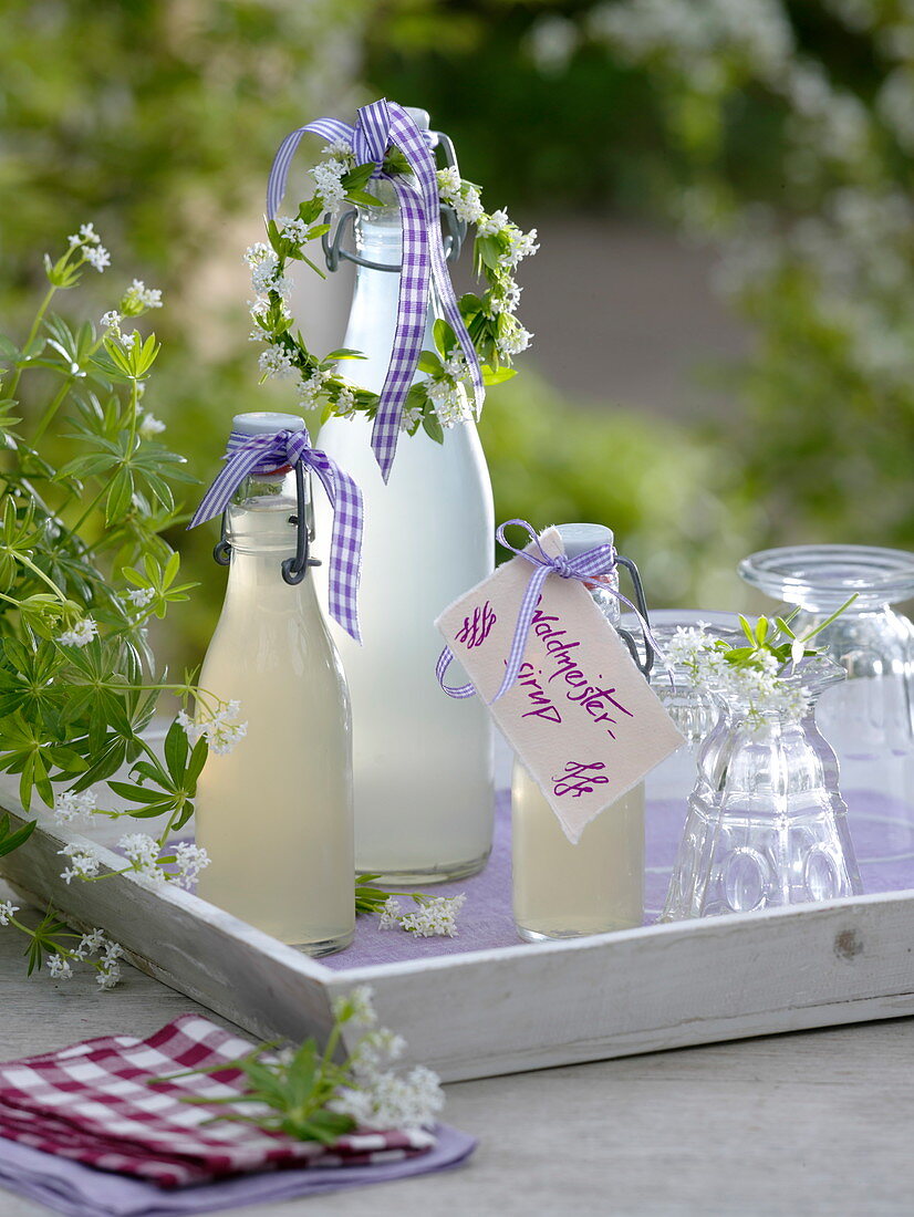 Bottles with woodruff syrup (Galium odoratum)