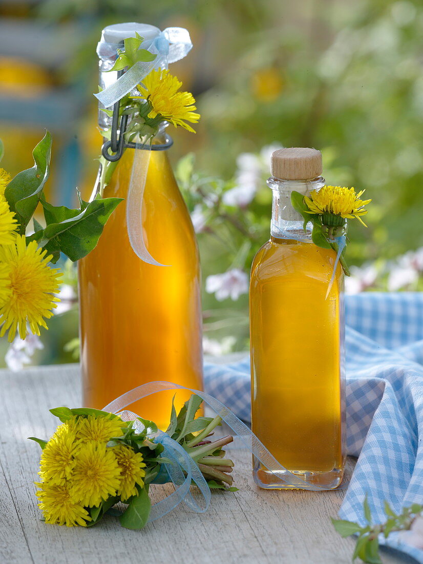 Löwenzahnsirup in Flaschen , kleiner Strauß aus Taraxacum (Löwenzahn)