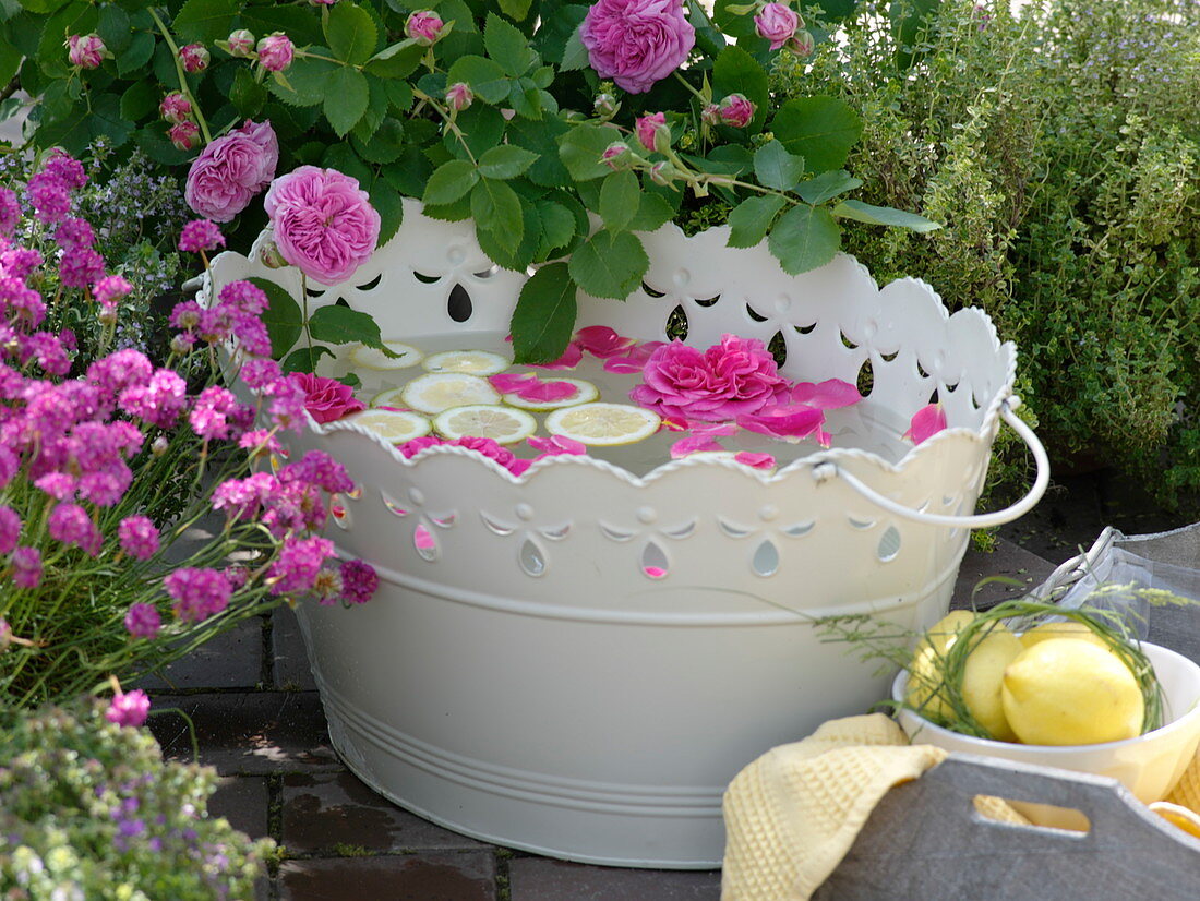 weiße Metallwanne mit Rosenblüten und Zitronenscheiben für ein Fußbad