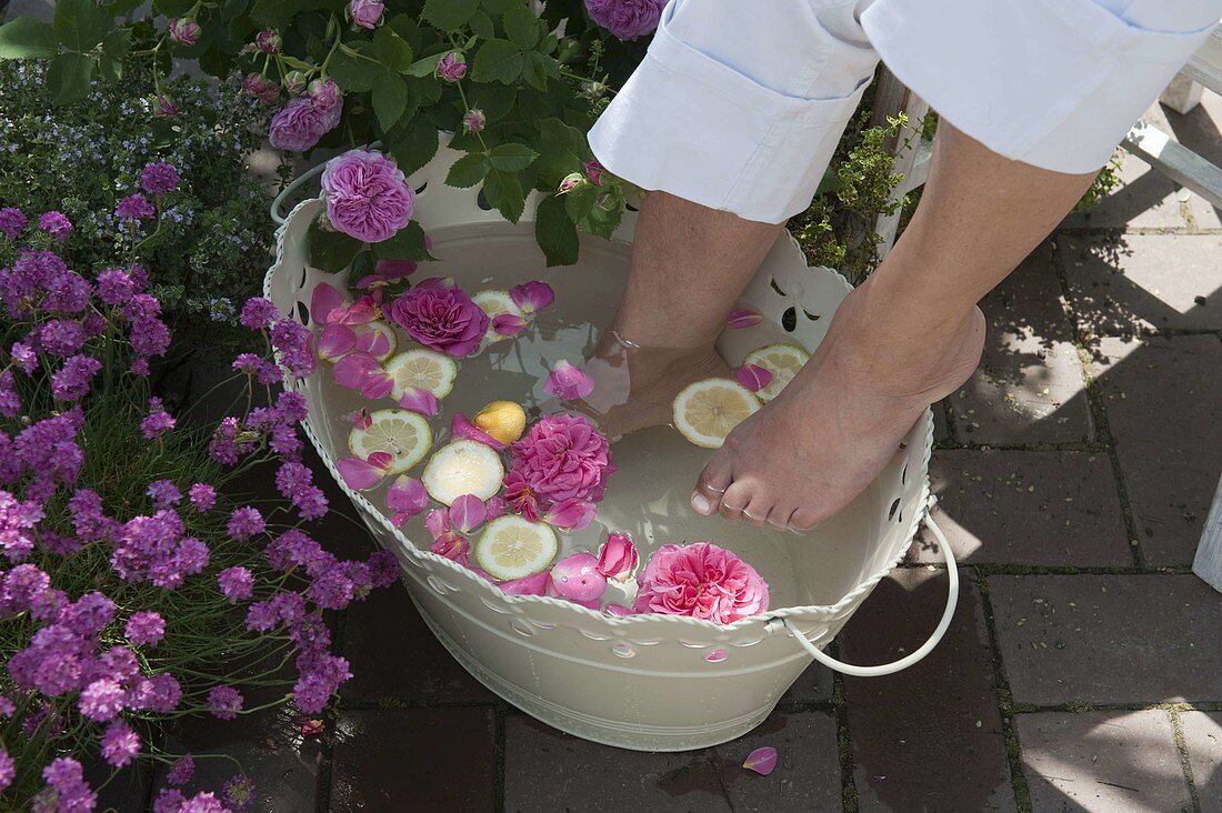 White metal tub with rose petals and lemon slices for a foot bath