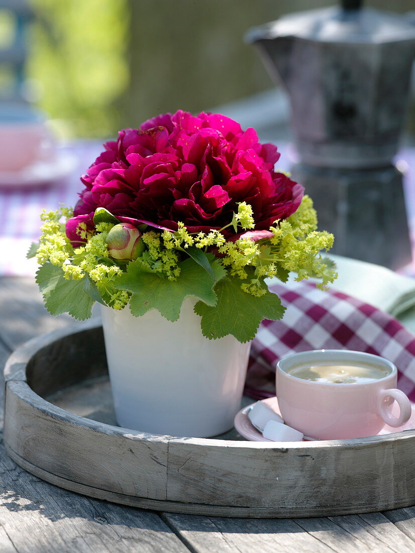 Paeonia with a cuff made of Alchemilla