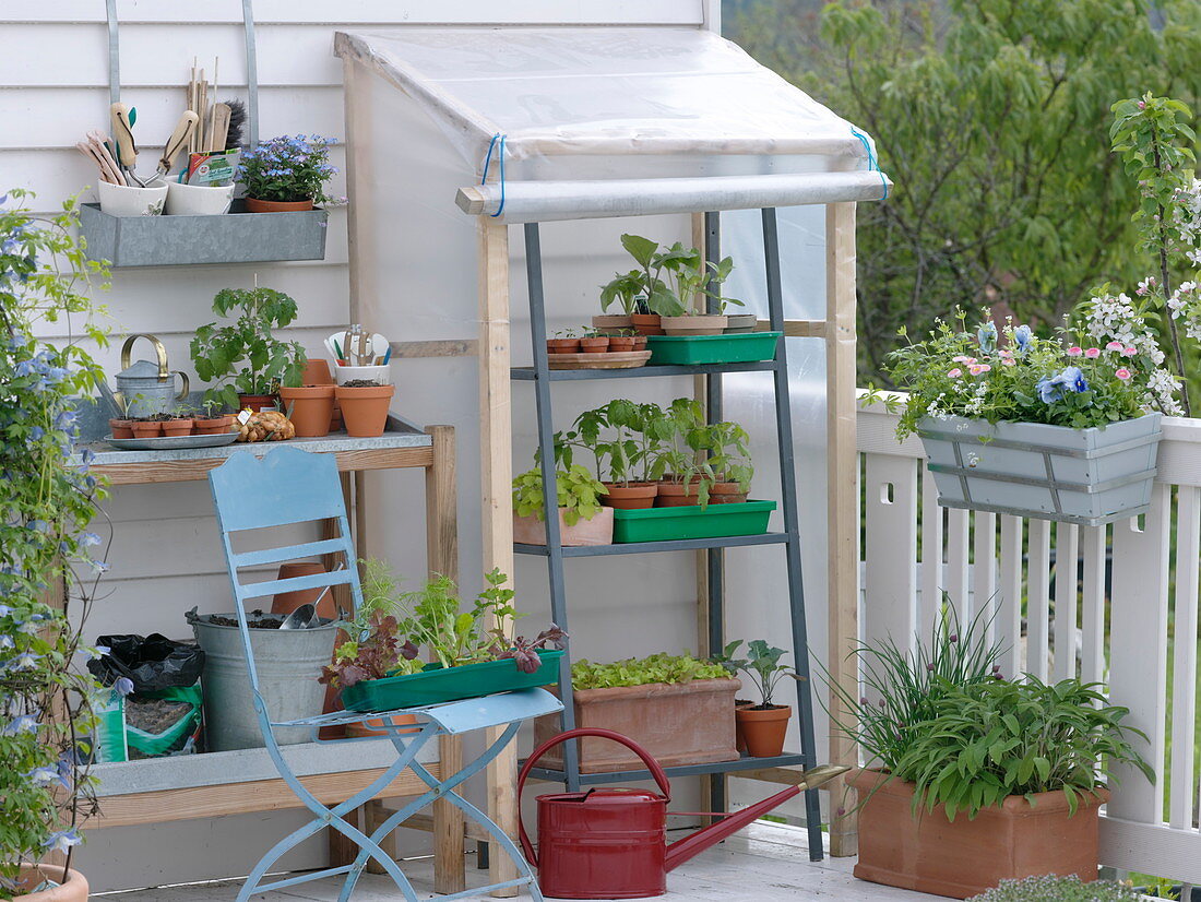 Self-made small foil greenhouse for growing on the balcony