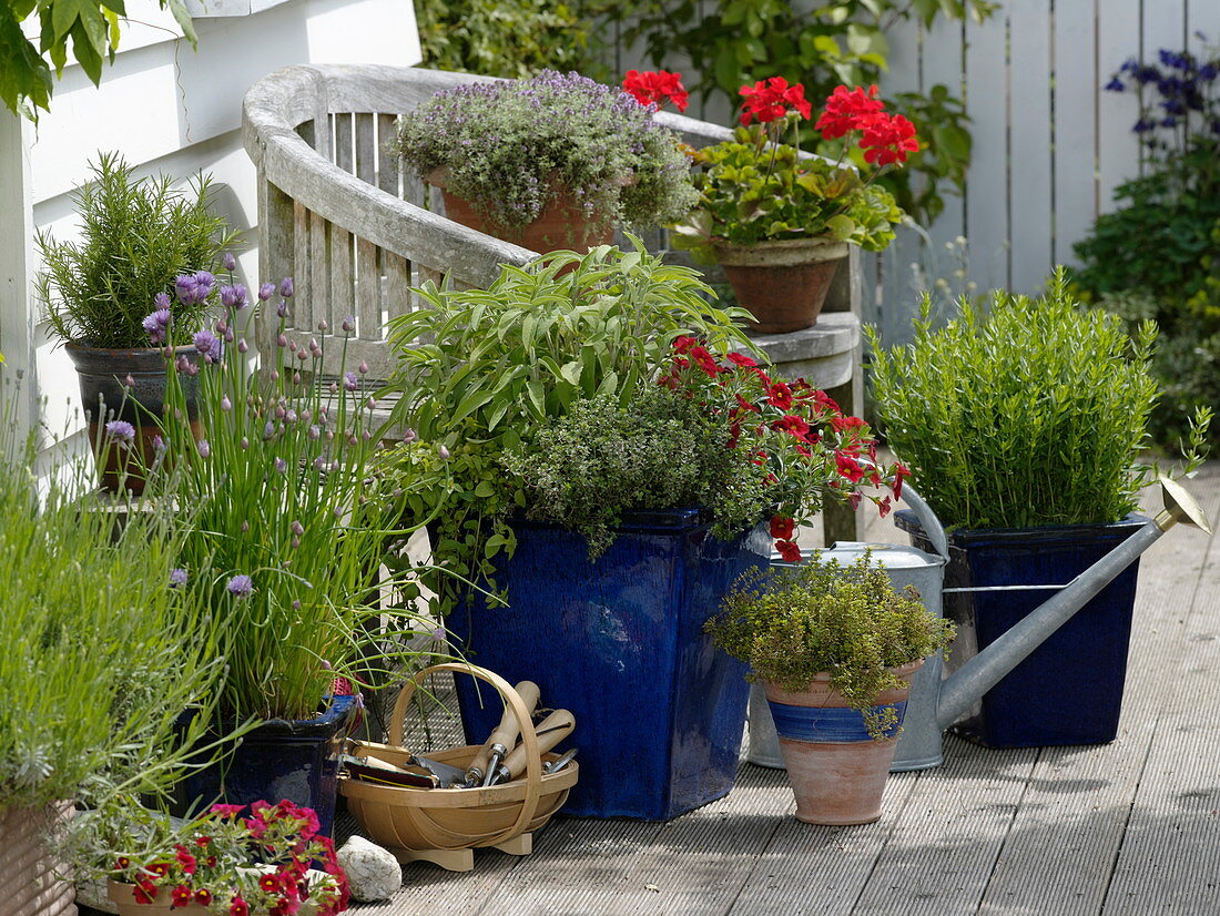 Terrace with herbs and summer flowers