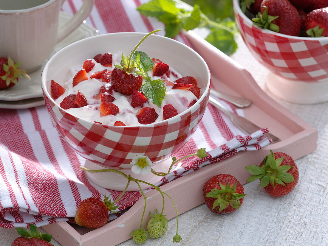 Schale mit Quark und frisch geeernteten Erdbeeren
