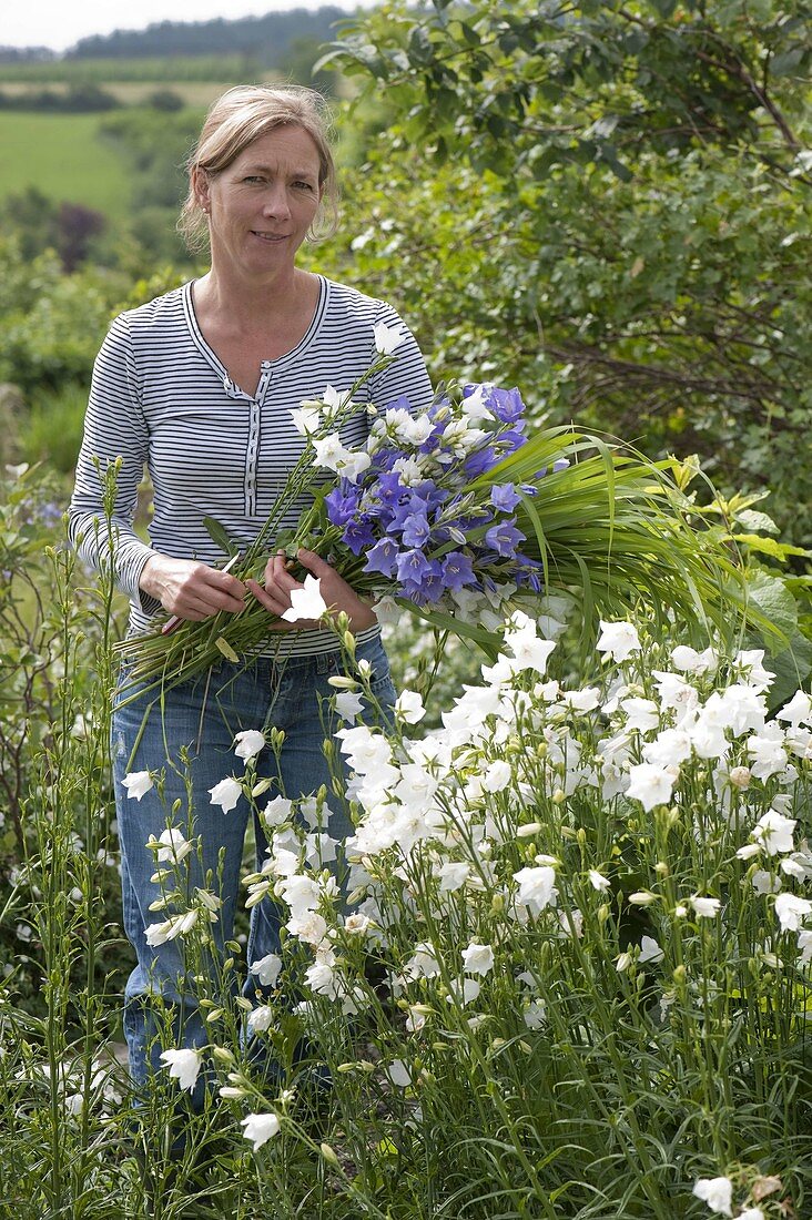 Frau schneidet Glockenblumen und Gräser für einen Blumenstrauß