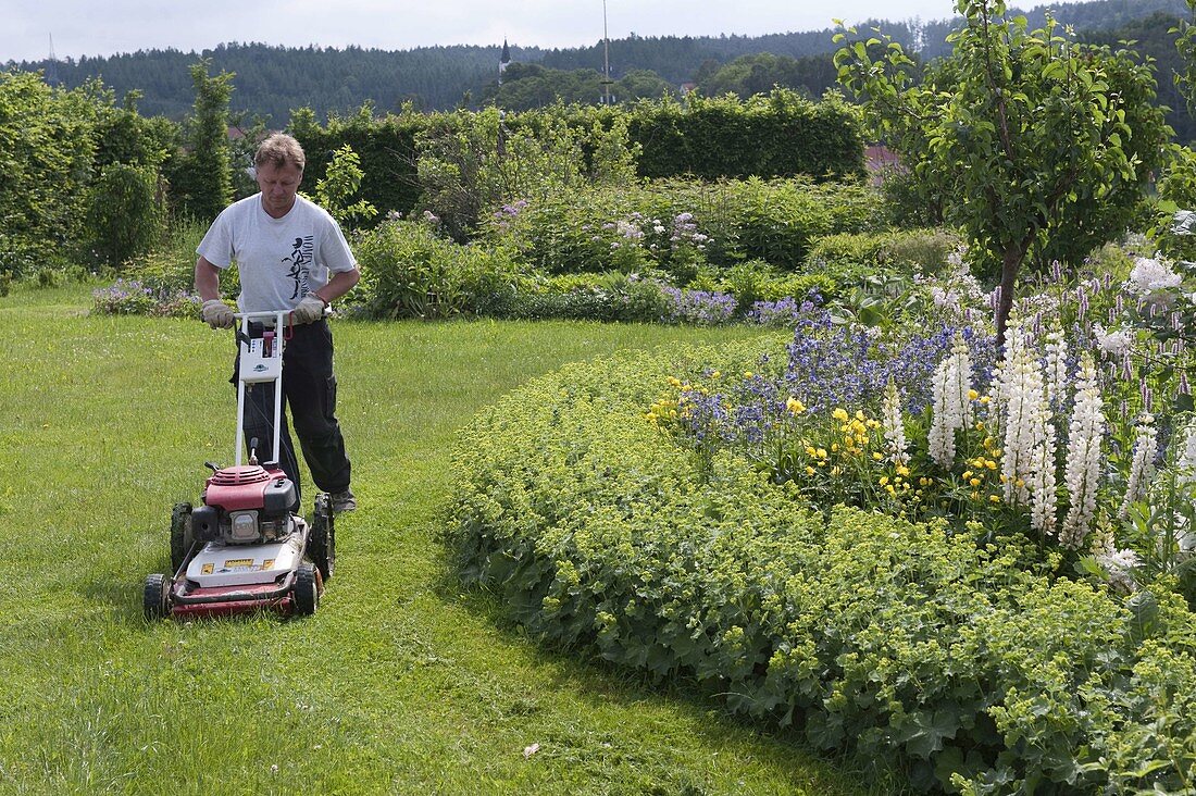 Man mowing lawn