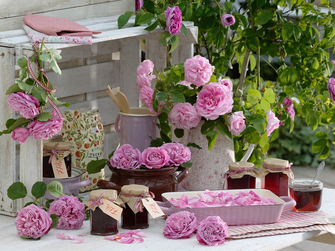 Stillleben mit Rosengelee, duftenden Rosenblüten und Einmachzucker