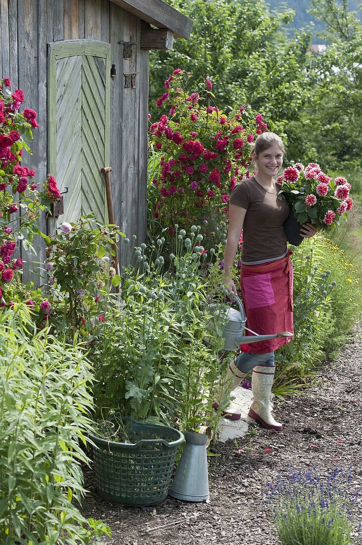 Junge Frau mit Dahlia (Dahlie) und Gießkanne vor Gartenhaus