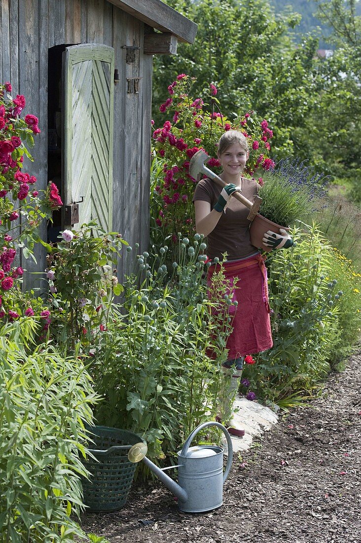 Young woman with spade and lavender in front of garden house