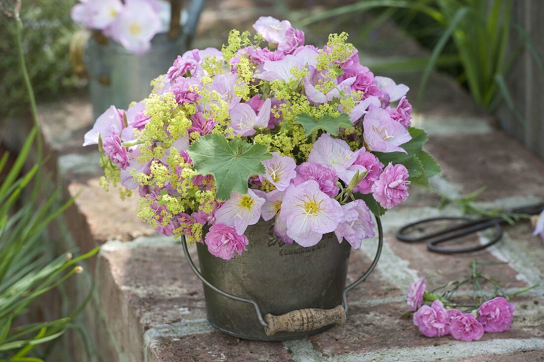 Pink-yellow bouquet of Oenothera speciosa, Dianthus