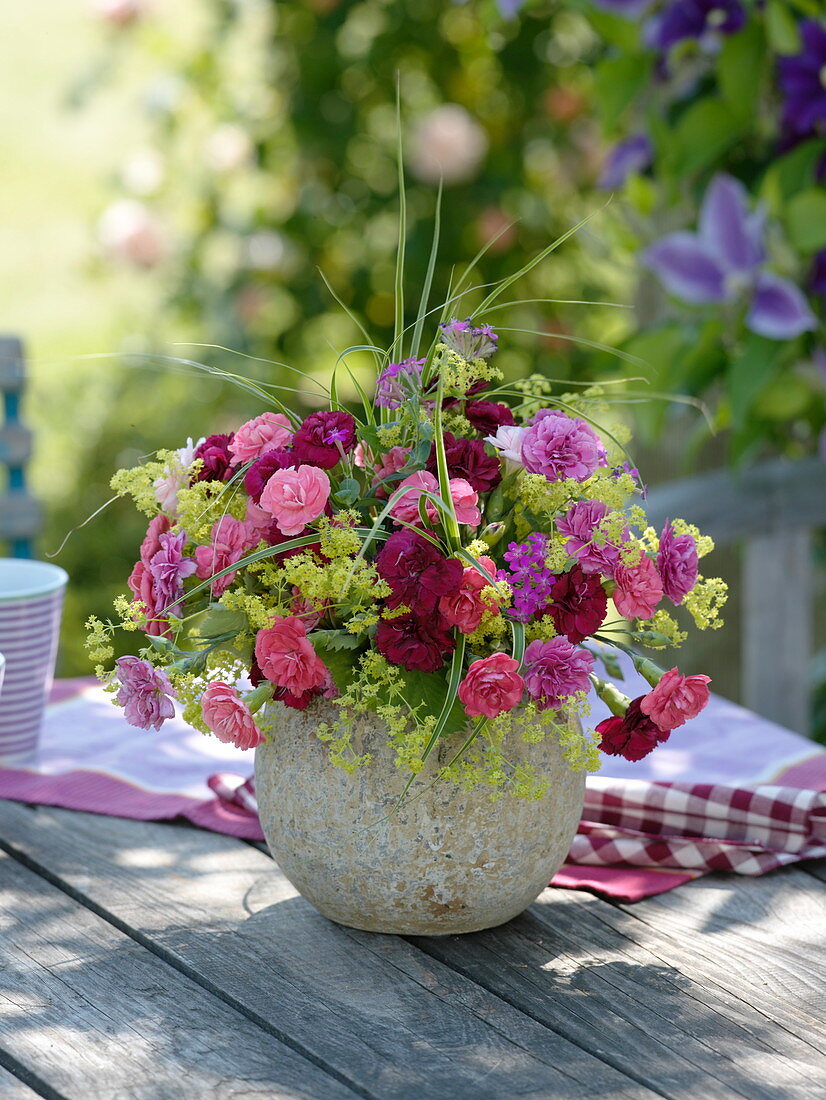 Scented bouquet of Dianthus plumarius (feather carnations), Alchemilla