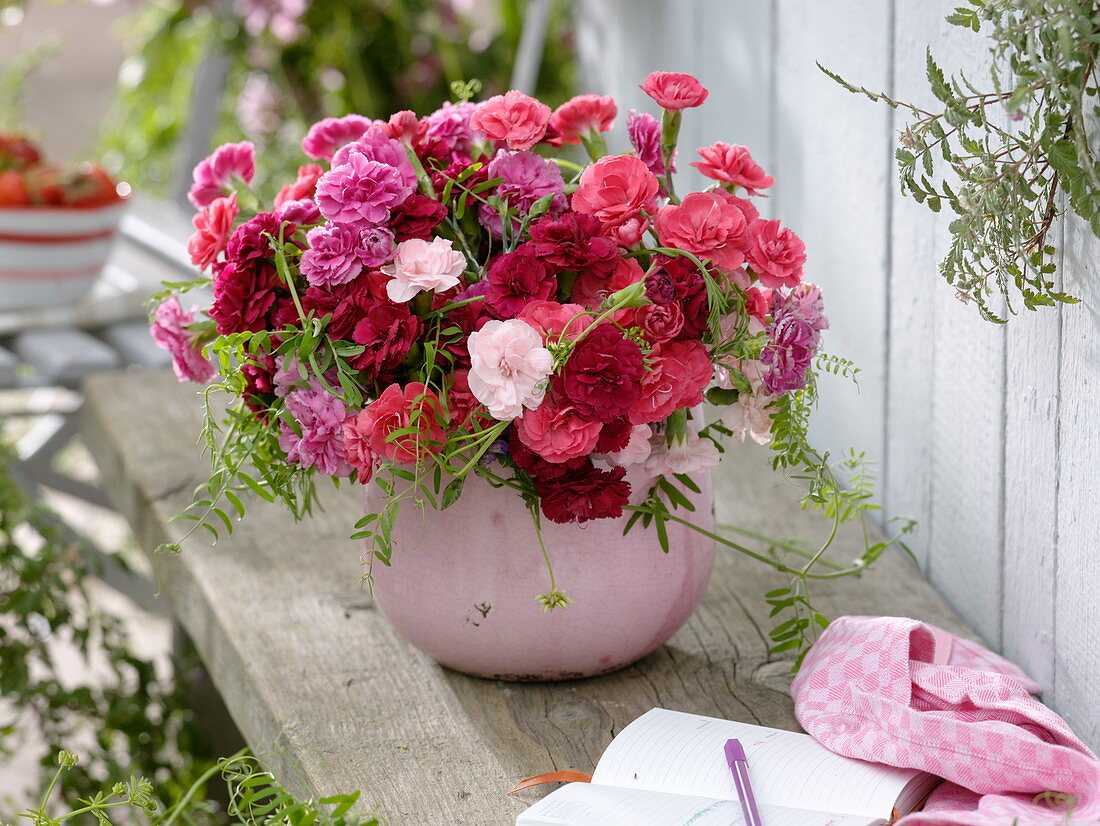 Duftender Strauß aus Dianthus plumarius (Federnelken)