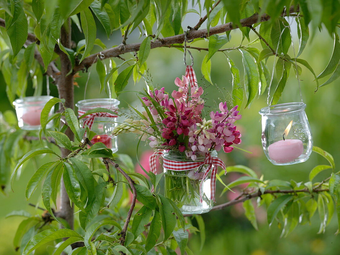 Kleiner Lupinenstrauß im Glas an Baum gehängt 2/2