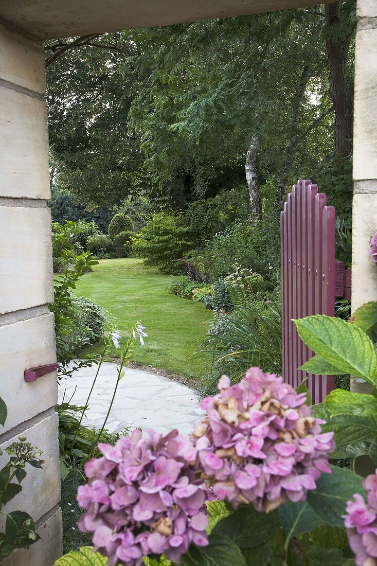 Blick durch das geöffnete Gartentor in den Garten, Hydrangea (Hortensien)