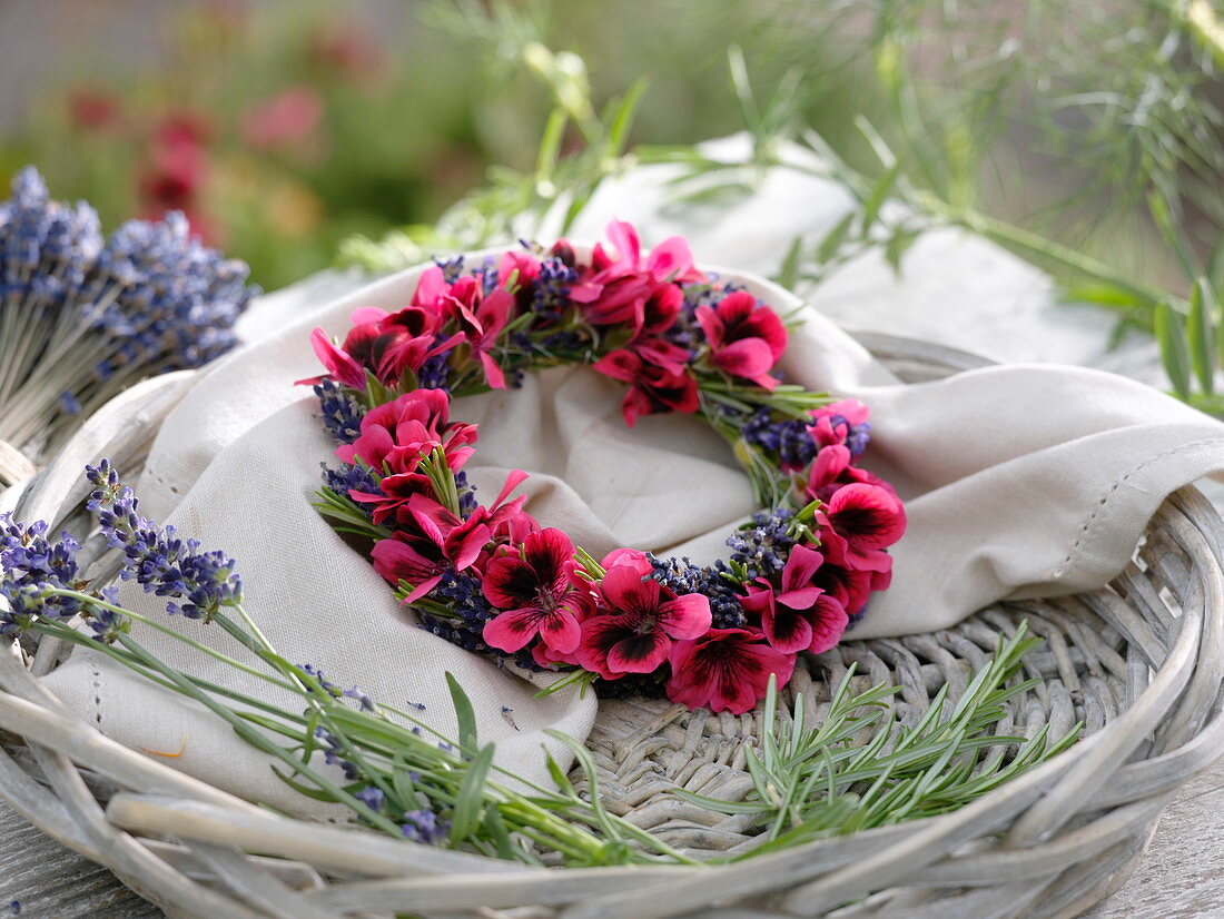 Small wreath of flowers of Pelargonium Grandiflorum Aristo 'Claret'.