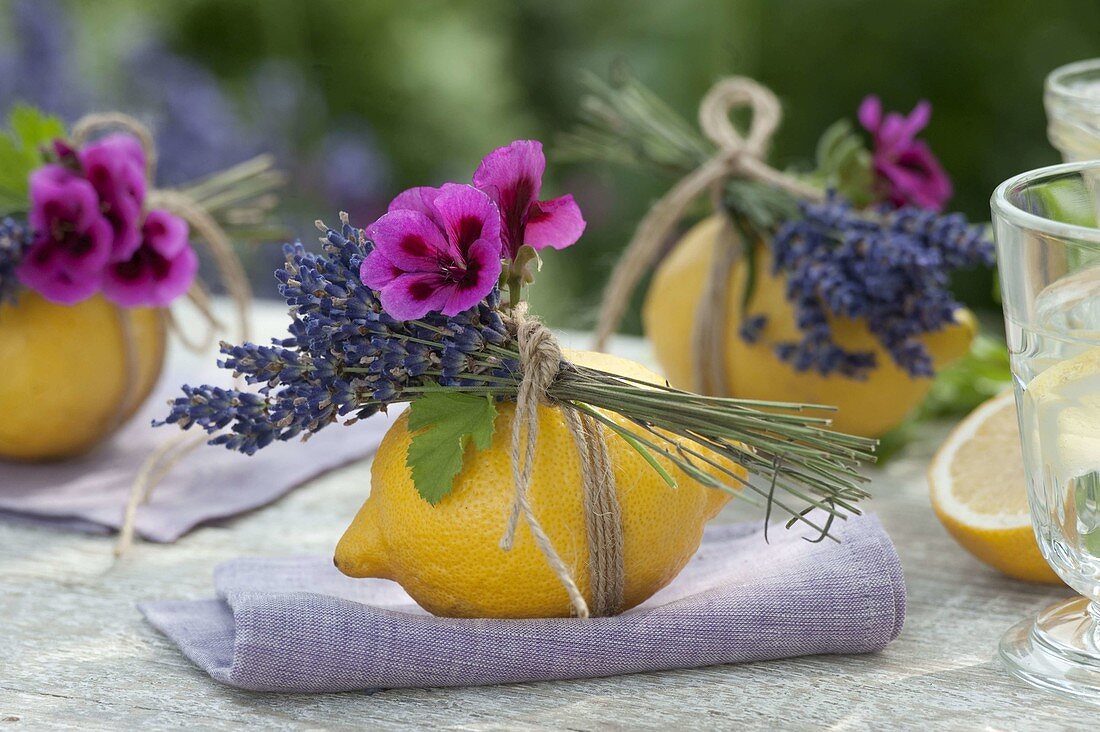 Lemon (Citrus limon) with lavender (Lavandula) and pelargonium