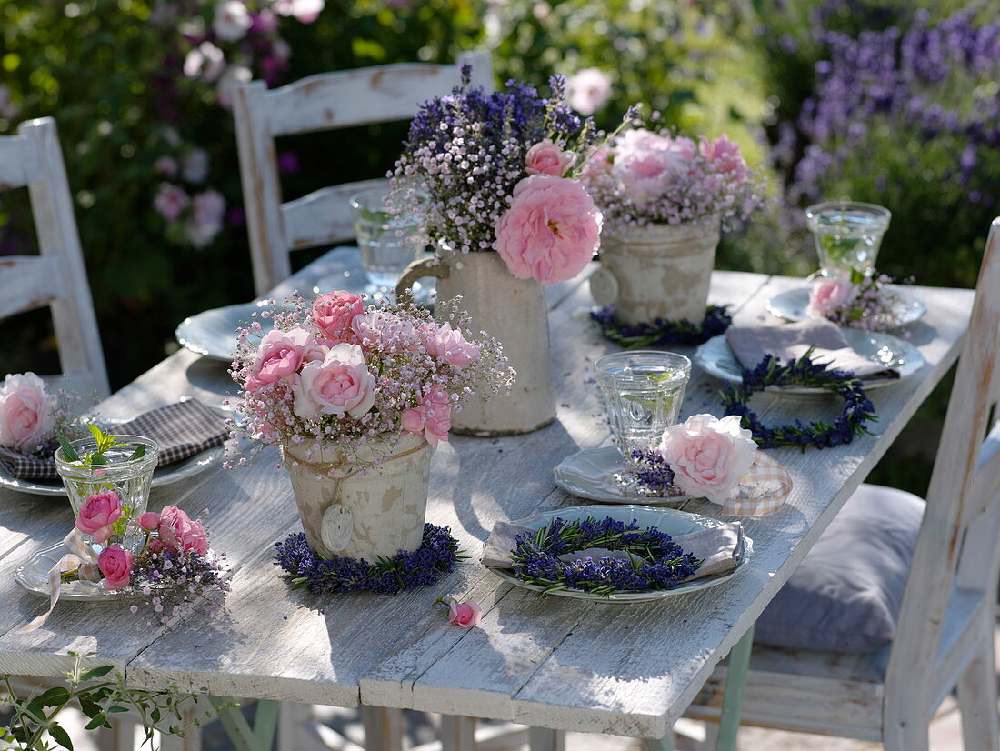 Rosa (Rose), Gypsophila (Gypsophila)