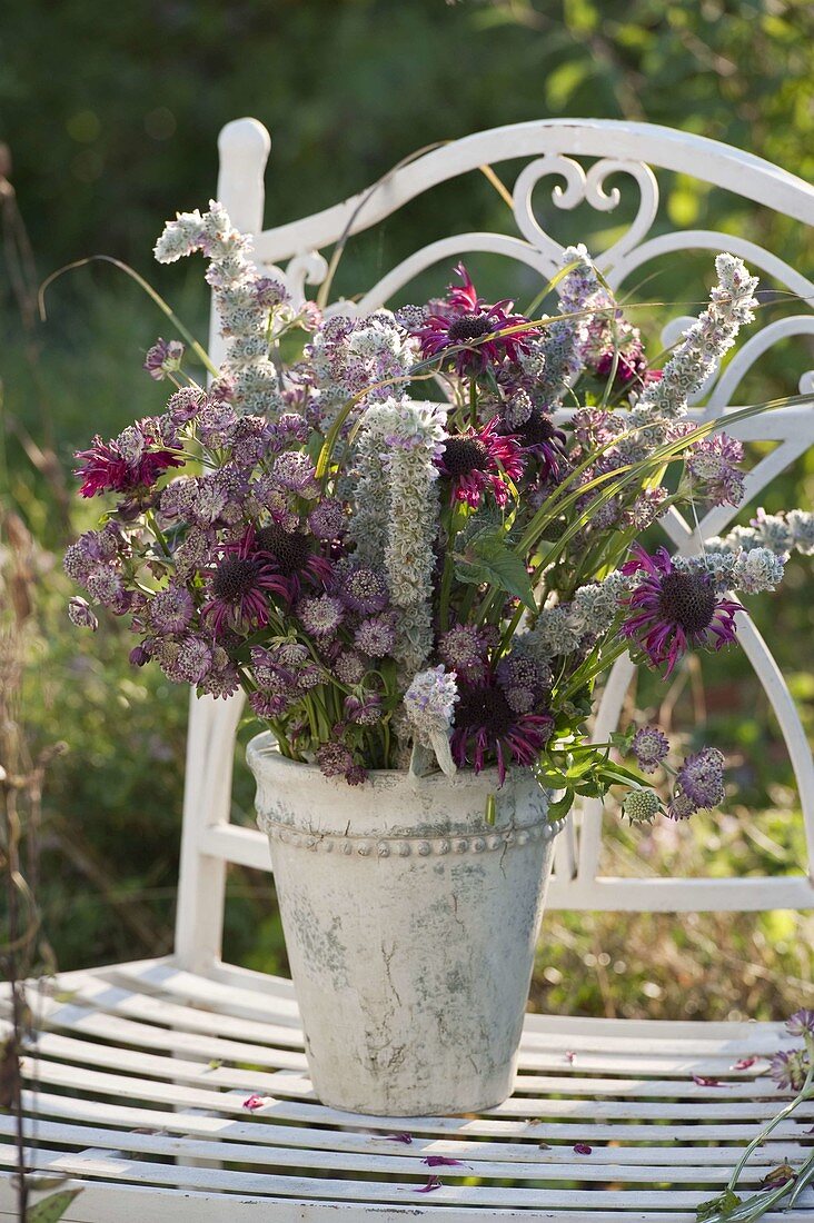 Red and silver bouquet of Astrantia, Stachys byzantina